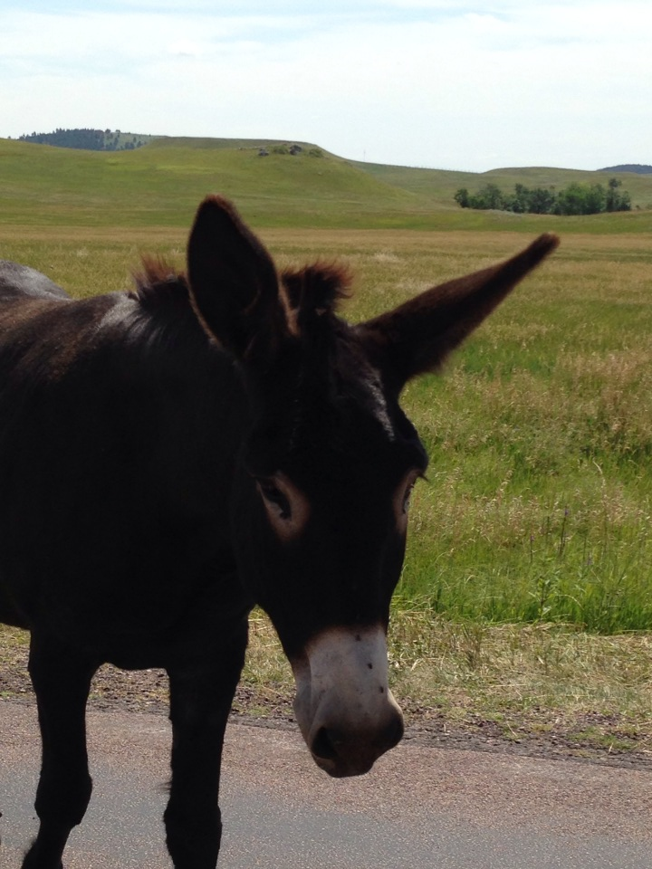 merrythought donkey